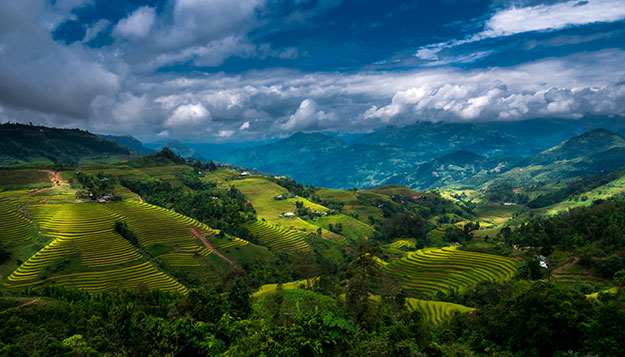 rice terraces vietnam