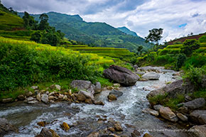 valley stream 290