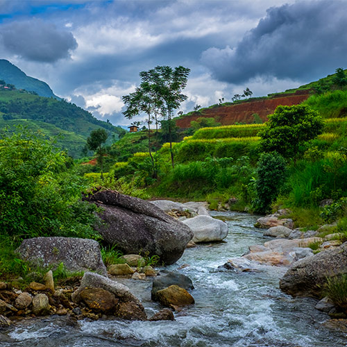 Vietnam gallery th