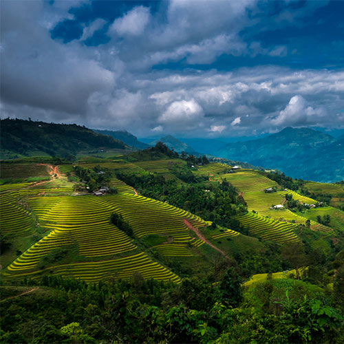 vietnam workshop