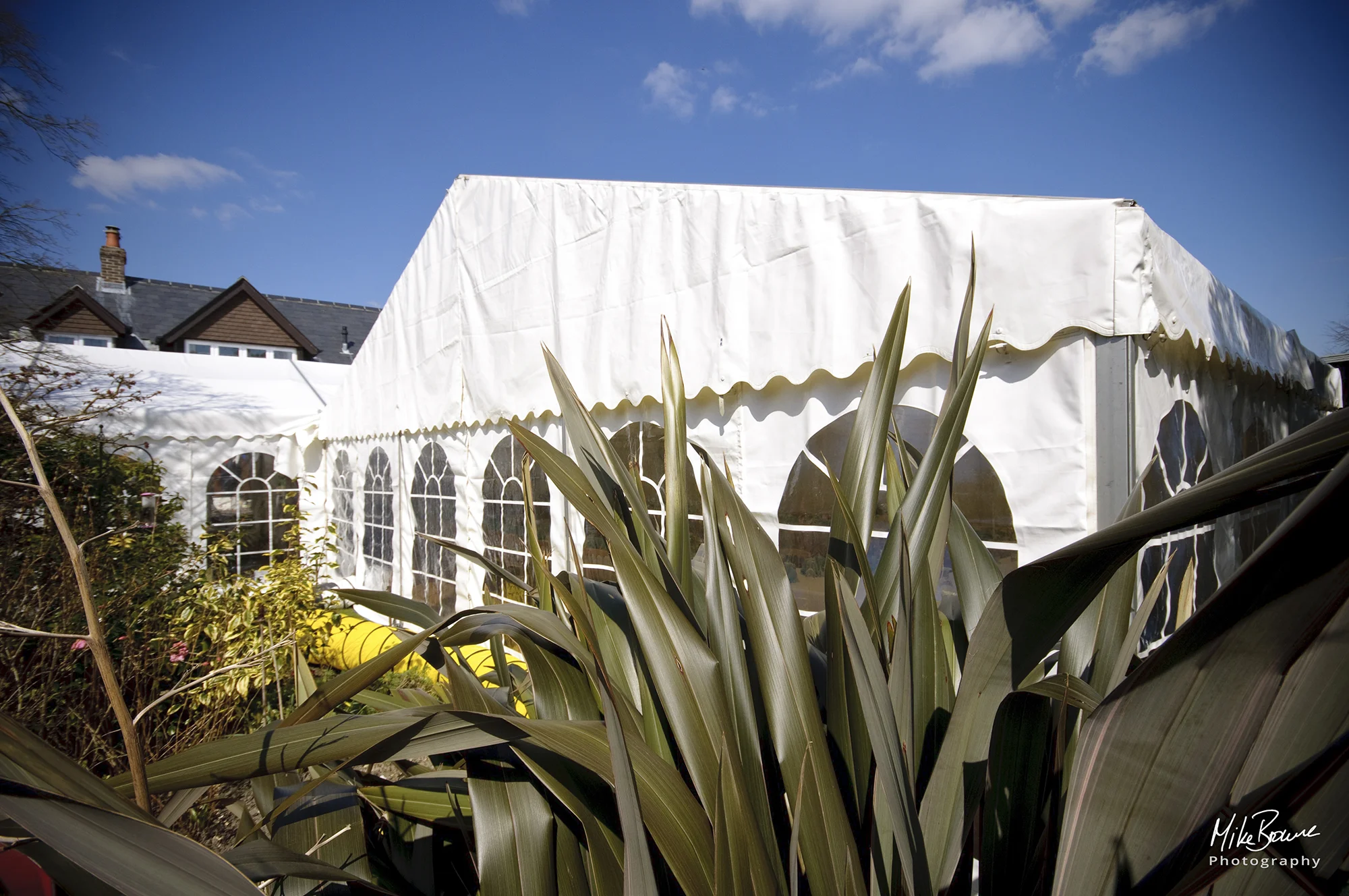 Plants in front of a stylish white marquee under a blue sky