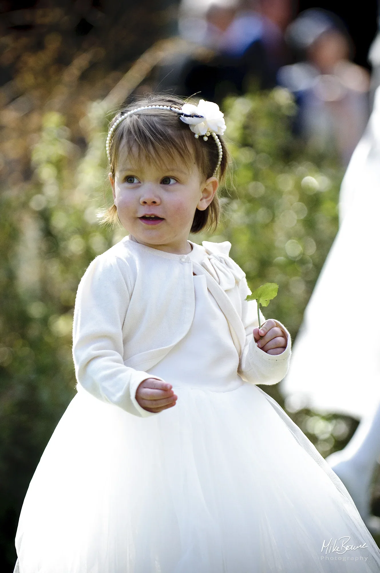 Little girl in a bridesmaid\'s dress